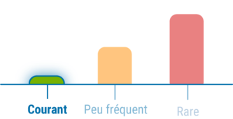Niveau 1