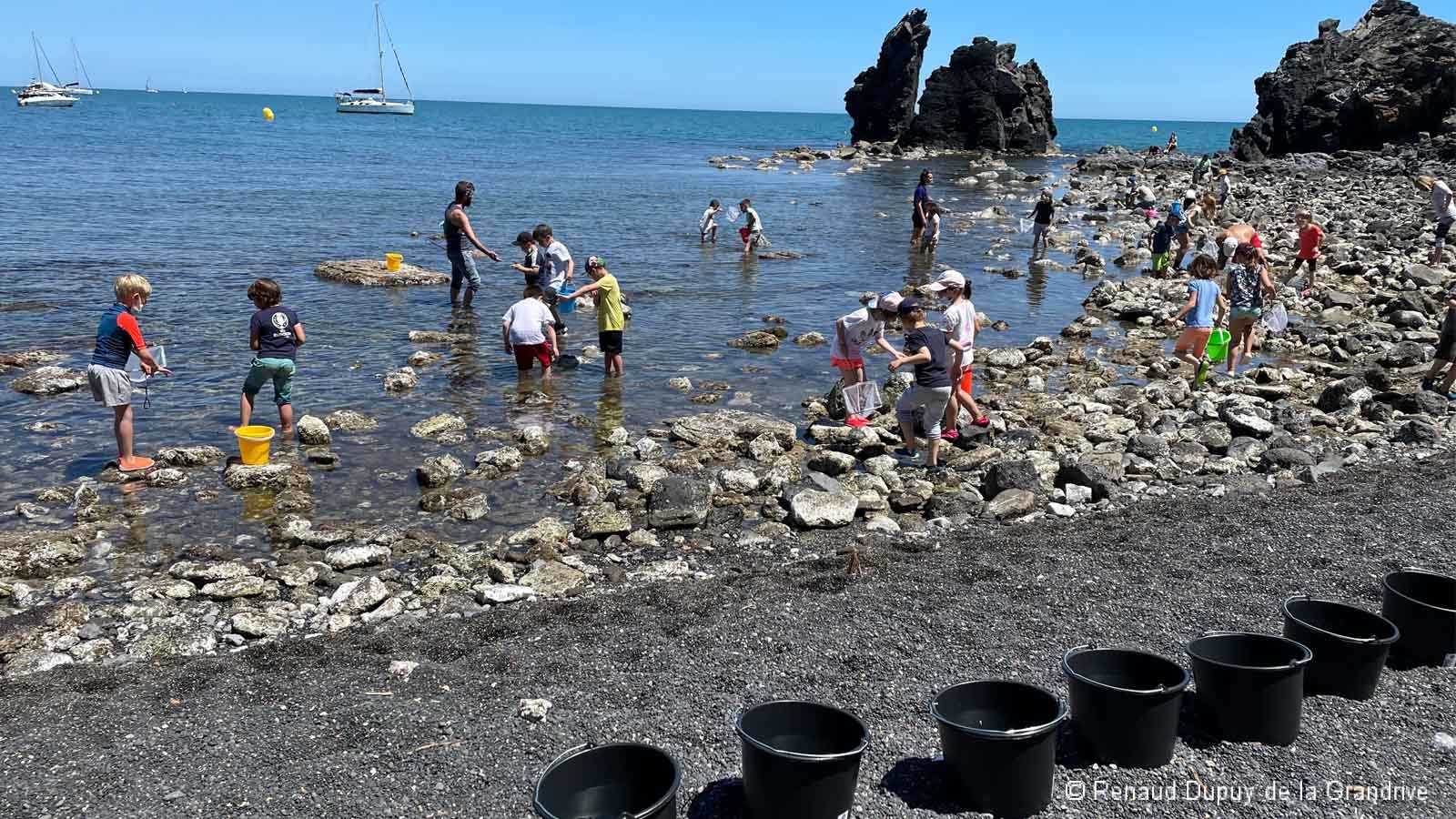 Activité de pêche à pied pour petits et grands