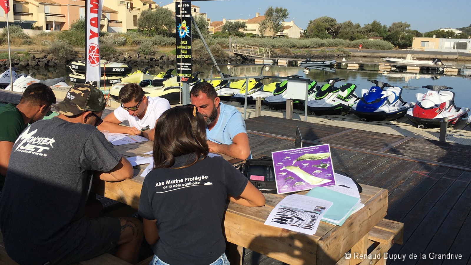 Formation des moniteurs/trices de jet-ski pour l'approche respectueuse des animaux marins en mer