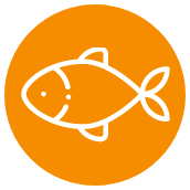 Biodiversité