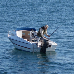 Suivi de la pêche