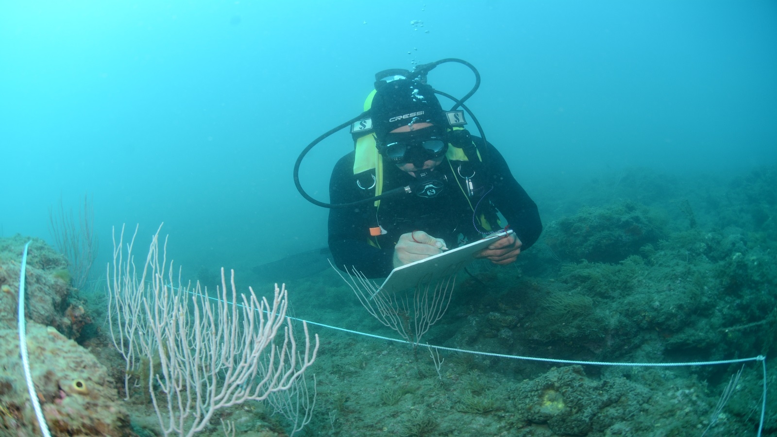 Suivi scientifique