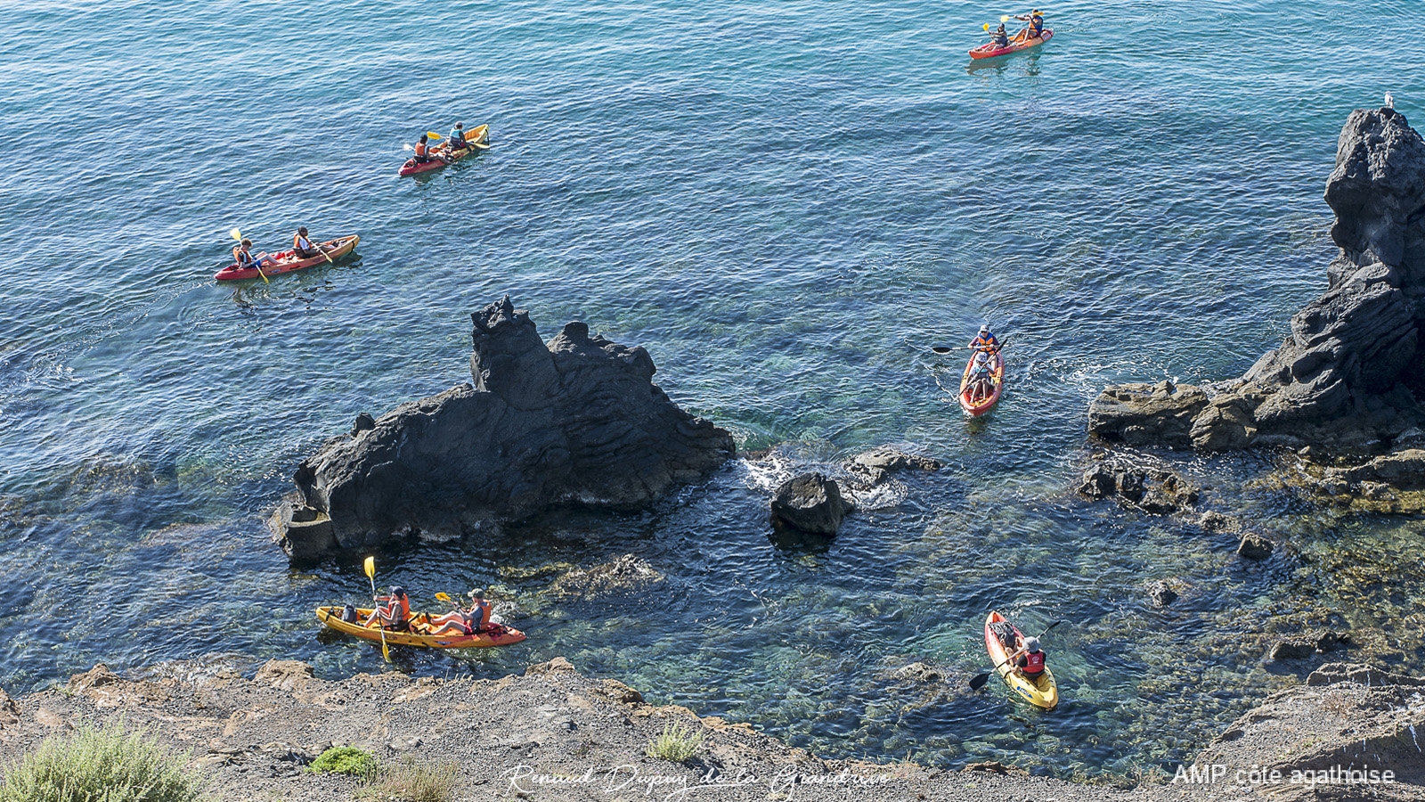 Balade naturaliste en kayak de mer