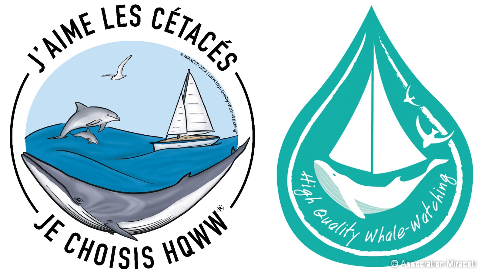 Label High Quality Whale-Watching