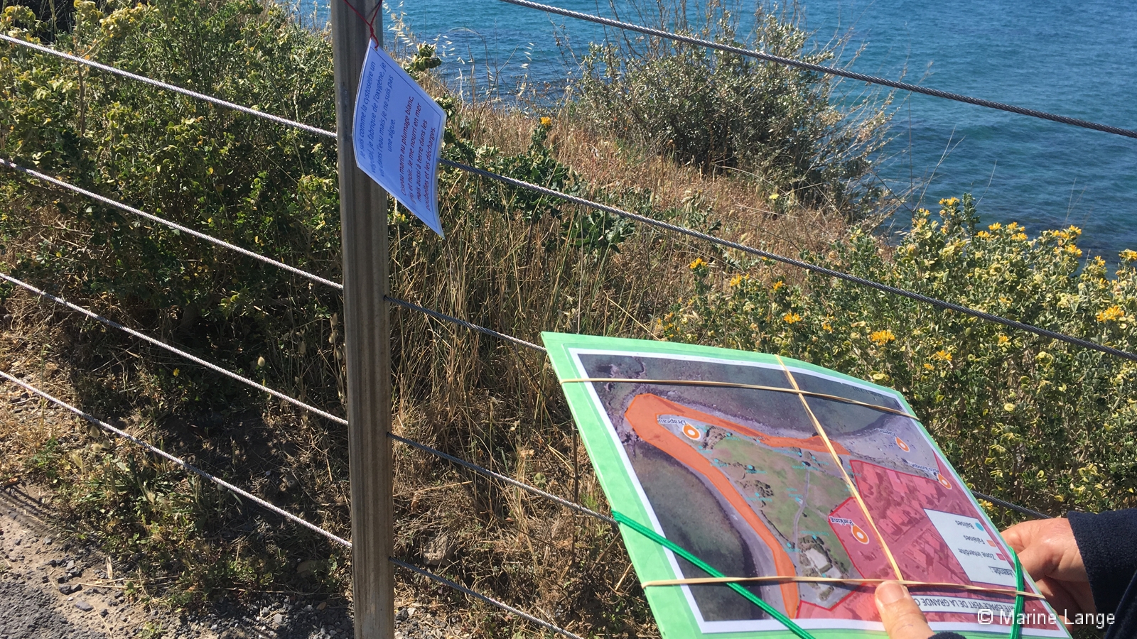 Jeu de piste sur la biodiversité marine