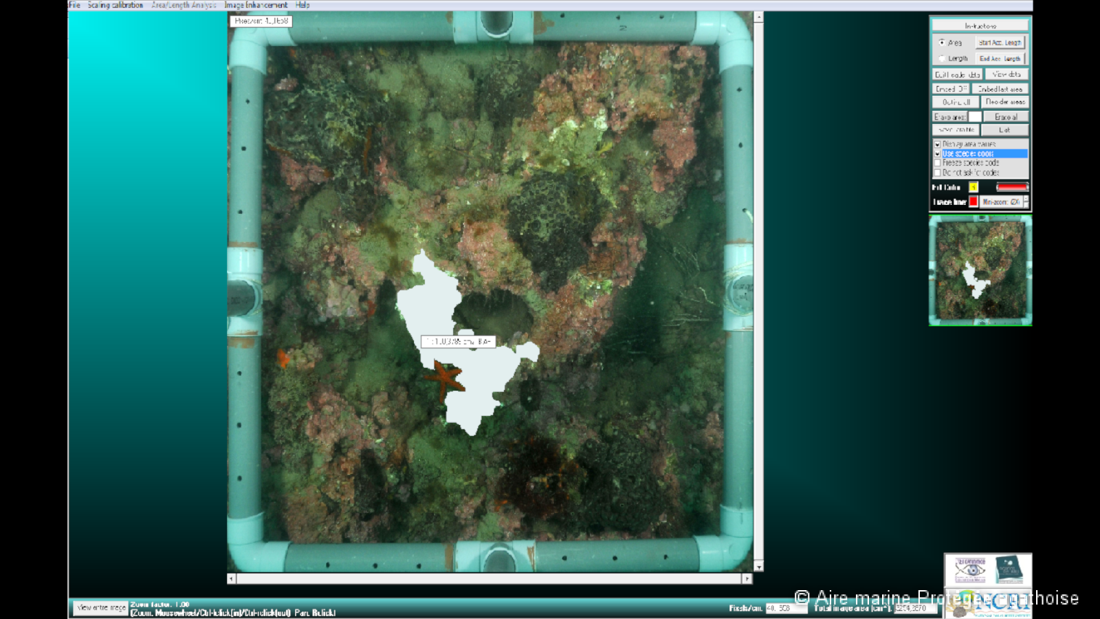 Analyse des quadrats photo sur ordinateur
